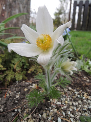 DSCN9936_1351.JPG