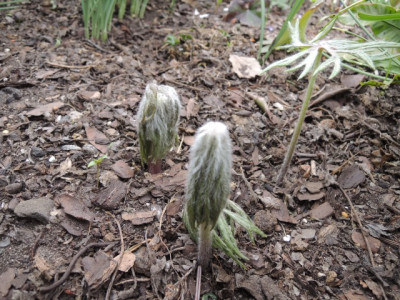 DSCN9952_1348.JPG