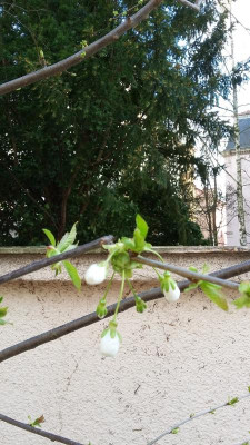 20160406_162947.jpg