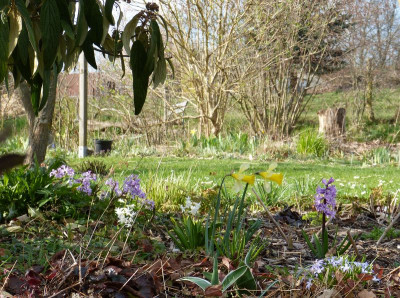 2016-04-06 Gartenimpressionen 3.jpg