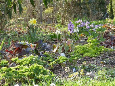 2016-04-06 Gartenimpressionen 4.jpg