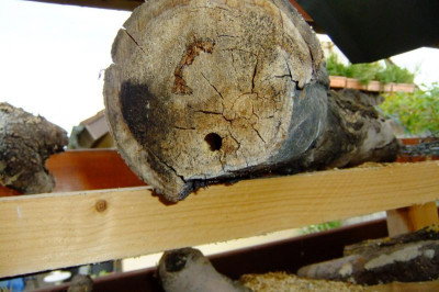 DSCF3096.JPG