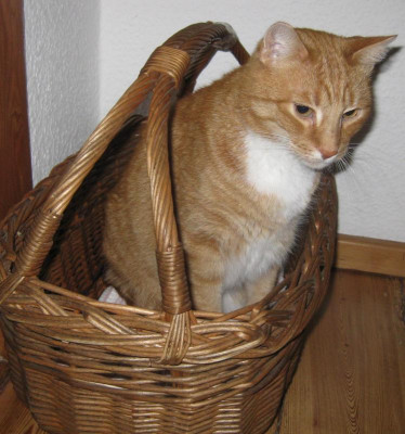 Moritz2.jpg