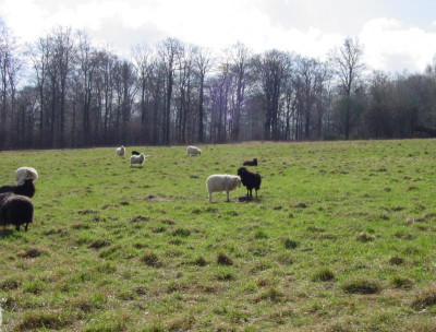 zukleinkeinhindernis.JPG