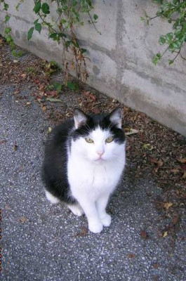 DSCN7148_der_freundliche_Petzi.jpg