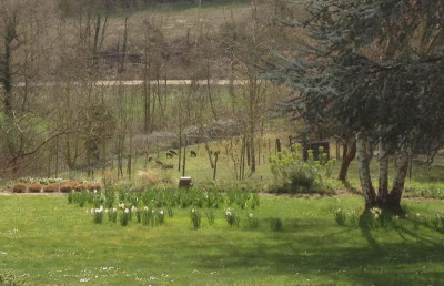 garteneinblick_3529.JPG