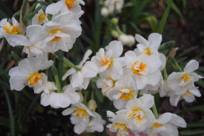 april 049.jpg