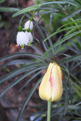 april 052.jpg