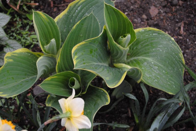 april 057.jpg