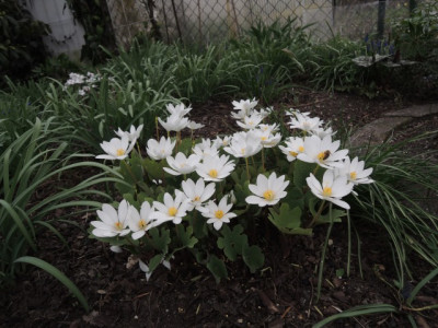 DSCN9881_1355.JPG