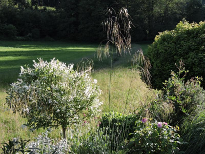 DSCN0780.JPG