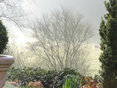 DSCN3371.JPG