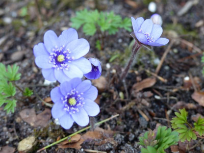 P1010376.JPG