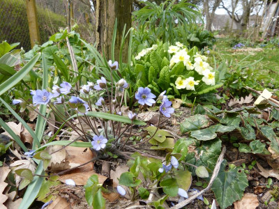2016-04-10 Garteneinblick 2.jpg