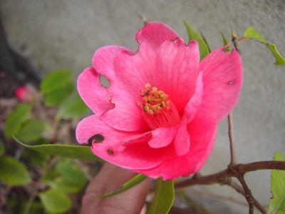 PICT0982.JPG