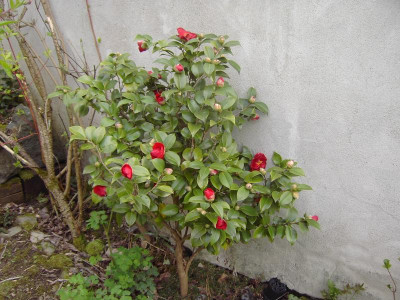 PICT0987.JPG