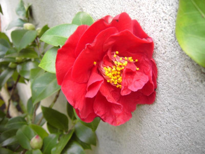 PICT0990.JPG