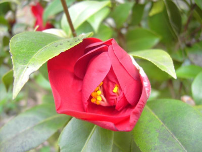 PICT0993.JPG