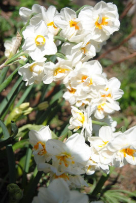 april 006.jpg