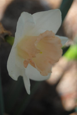 april 022.jpg