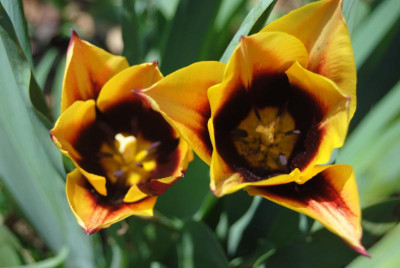 april 008.jpg