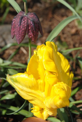 april 005.jpg