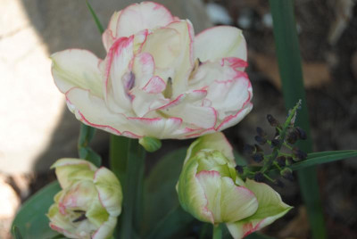 april 021.jpg