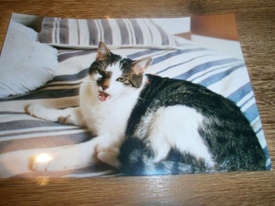 Max 002.JPG