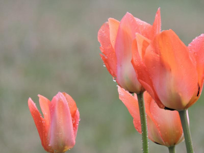 DSCN3390.JPG