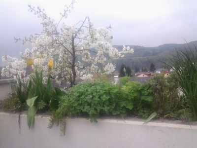 2016-04-12 09.17.49.jpg