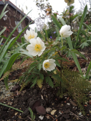 DSCN9972_1358.JPG