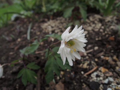 DSCN9976_1359.JPG