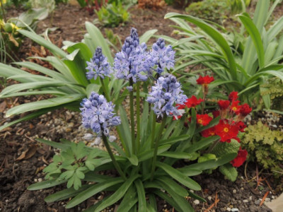 DSCN9980_1360.JPG