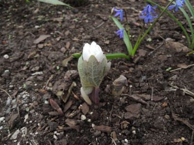 DSCN9966_1364.JPG