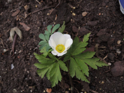 DSCN9962_1365.JPG