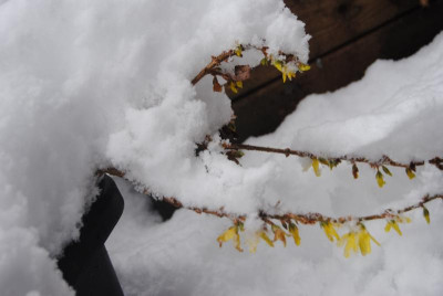 Bild2014 594.jpg