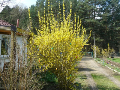 P1180720.JPG