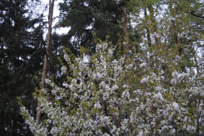 april 079.jpg
