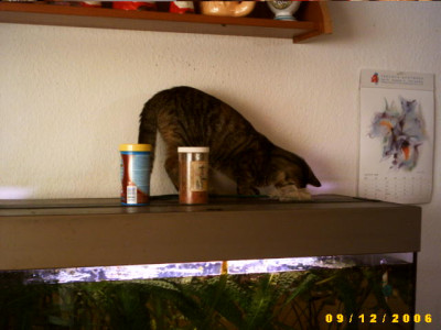 2006_0914Bild0010.JPG
