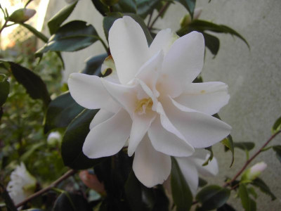 PICT1028.JPG