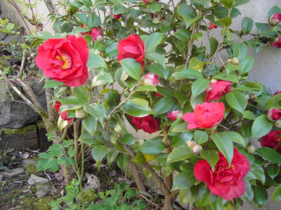 PICT1041.JPG
