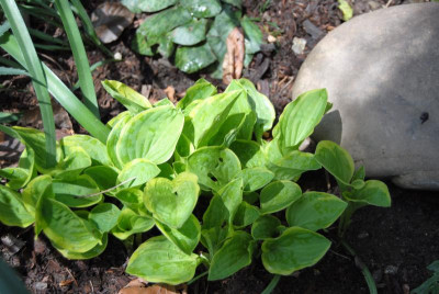 april 073.jpg