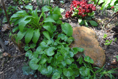 april 067.jpg