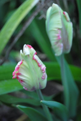 april 037.jpg