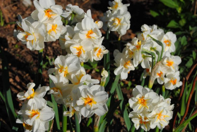 april 110.jpg