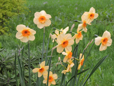 DSCN3438.JPG