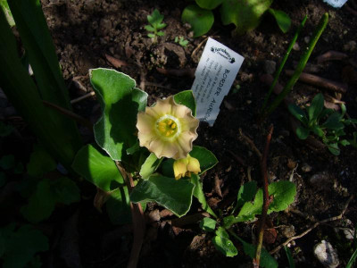 P1030491.JPG