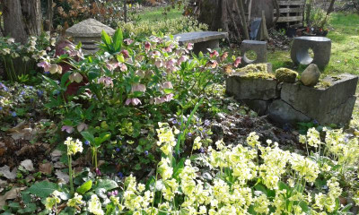 20160415_174510.jpg