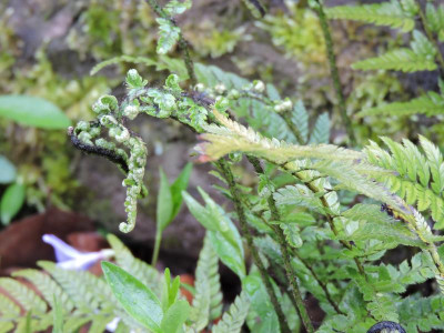 DSCN3481.JPG