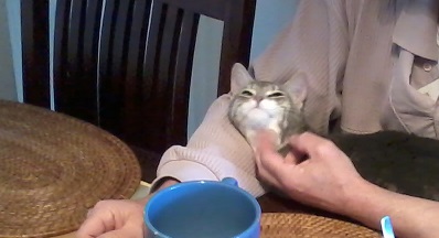 2016-04-17 09.17.36.jpg